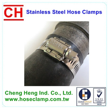 Worm Gear Hose Clamp